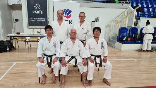 16 - 17 novembre 2024 - Stage International FFK à Paris.