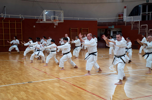 08 et 09 février 2025 - Stage Instructeurs JKA Italie à Inverigo et Carugo avec Sensei Naito