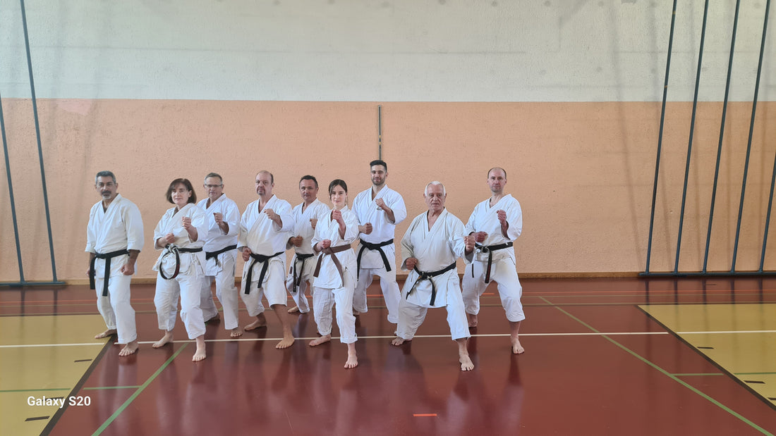 Stage Genève avec Sensei Lavorato (11 janvier 2026).