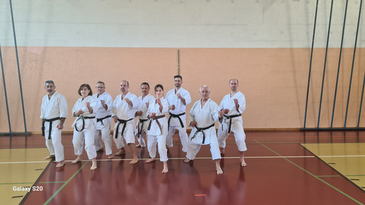 Stage Genève avec Sensei Lavorato (11 janvier 2026).