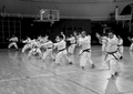 KARATE EDUCATIF